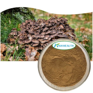 Maitake mushroom extract 30% polysaccharide