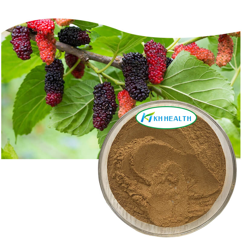 Mulberry Leaf Extract.jpg