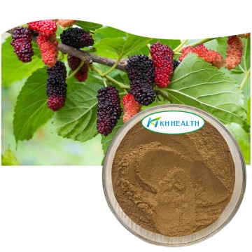 Mulberry (Folium mori)leaf extract DNJ