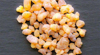 Cât extract de boswellia serrata pe zi?