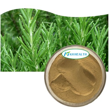 Rosmarinus officinalis rosmarinbladekstrakt