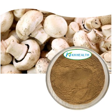 Hvid champignonekstrakt (Agaricus Bisporus-ekstrakt)