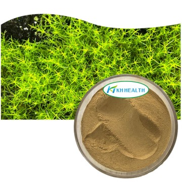 Irish moss (chondrus crispus) extract