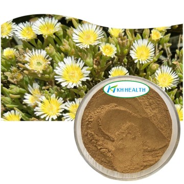 kanna (sceletium tortuosum) extract powder