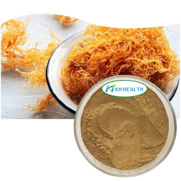 Havmosekstraktpulver til kosttilskud
