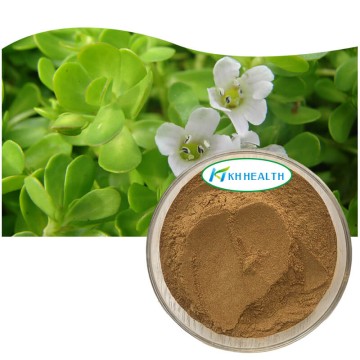 Bacopa monnieri extract 20% bacosides for memory supplement