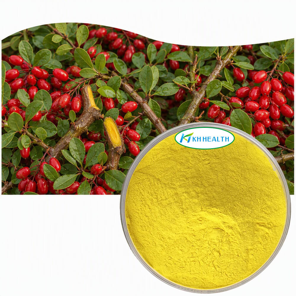 Berberine.jpg