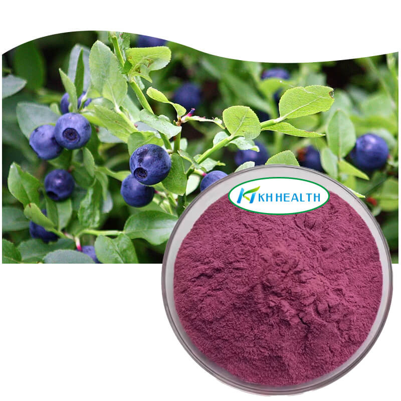 Bilberry extract.jpg