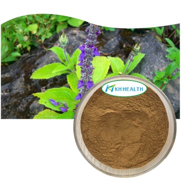 Forskolin 10% (Coleus forskohlii) rodekstraktpulver