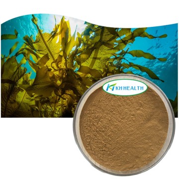 Undaria pinnatifida extract 10% fucoxanthin