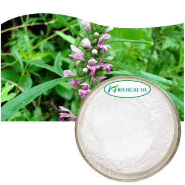 Moderurt leonurus ekstrakt stachydrinhydrochlorid 95%