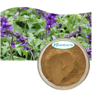 Sage(Salvia officinalis)Extract 2.5% Rosmarinic Acid
