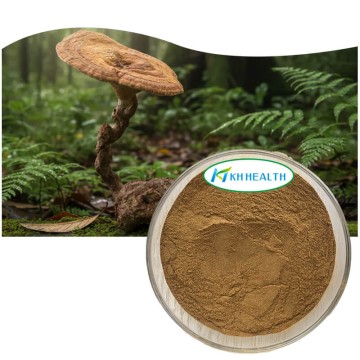 Tiger milk mushroom(Lignosus rhinocerus)extract 30% Beta Glucan