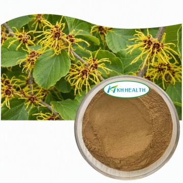 Hamamelis virginiana extract cas 84696-19-5
