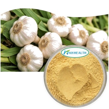 Garlic(Allium sativum)Extract Allicin 1%