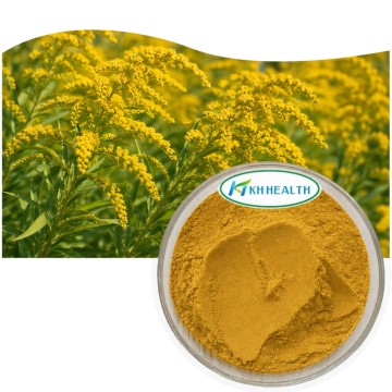 Goldenrod Solidago Extract 5% Flavanoids For Urinary Tract Health