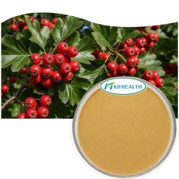 Hawthorn Leaf Flower Extract 2% Vitexin