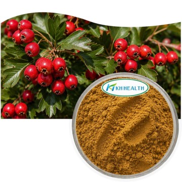 Factory Direct Hawthorn Extract 5% Flavonoids