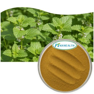Lemon Balm Extract 5% Rosmarinic Acid