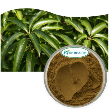 Mango Leaf Extract 15% Mangiferin