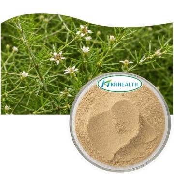 Asparagus racemosus Shatavari extract total saponins 20%