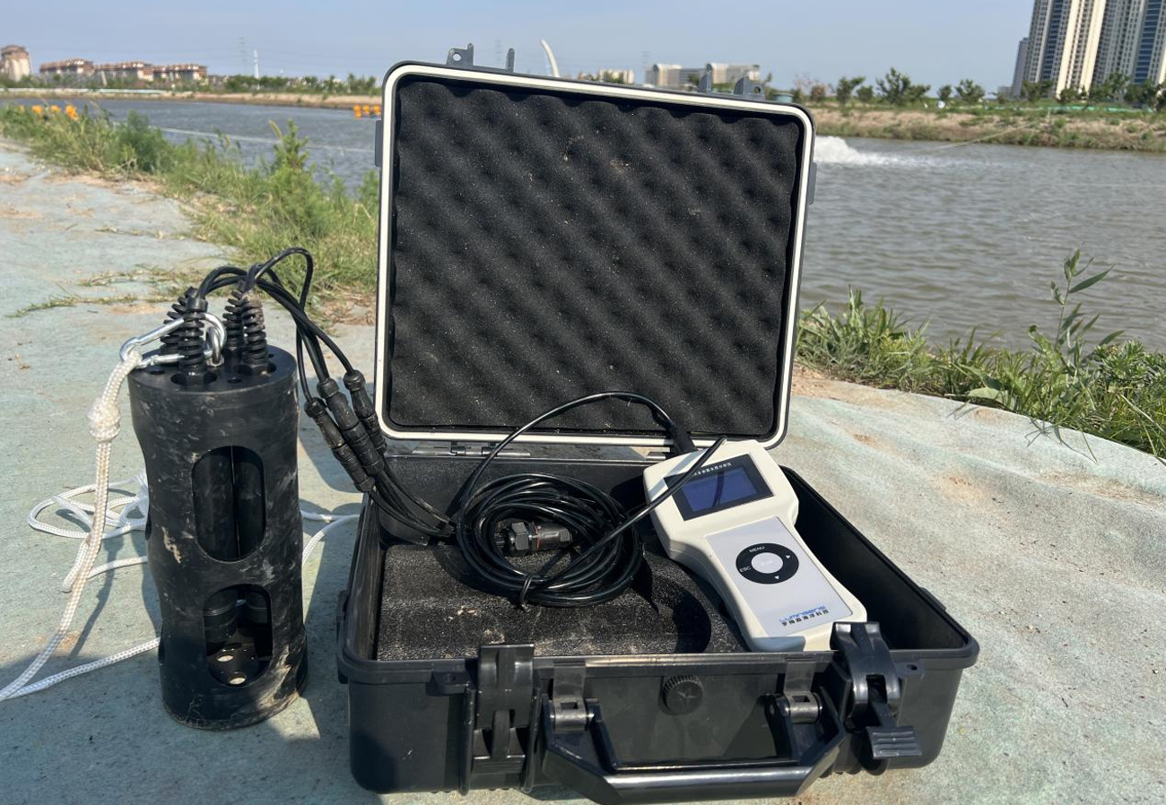 Advanced-Dissolved-Oxygen-(DO)-Monitoring-Solutions2.jpg