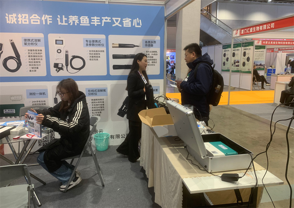 Exhibition (10)