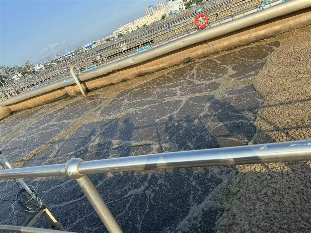 sewage disposal (4)