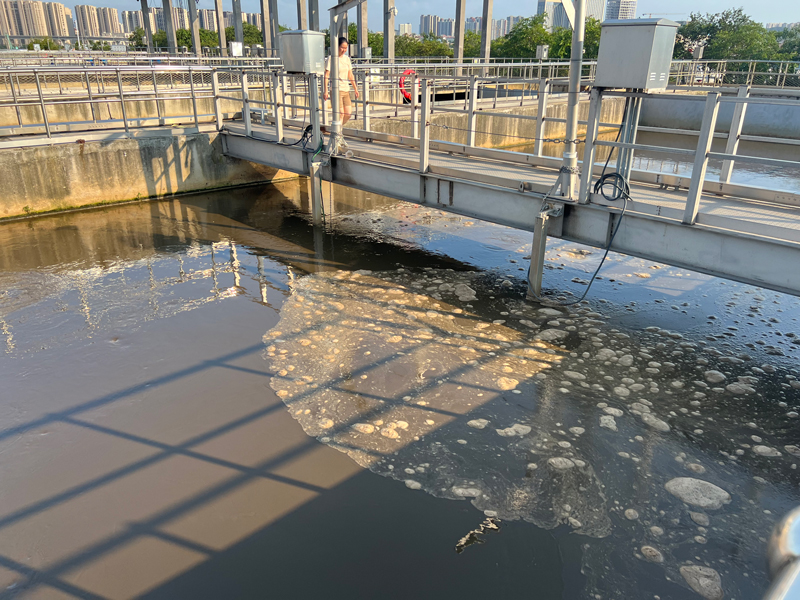 Sewage Disposal