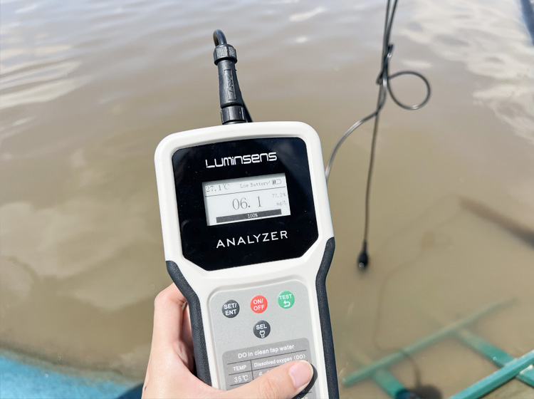 Wasserqualitätsüberwachungsparameter in Kreislaufanlagen für die Aquakultur