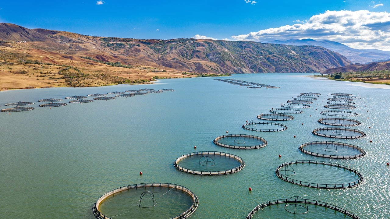 ORP-Wassersensor – Das „intelligente Auge“ der Wasserwirtschaft