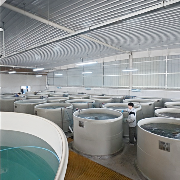 Aquaculture Client Reorders & Expands Production for Peak Season, On-site Technical Service Fully Delivered