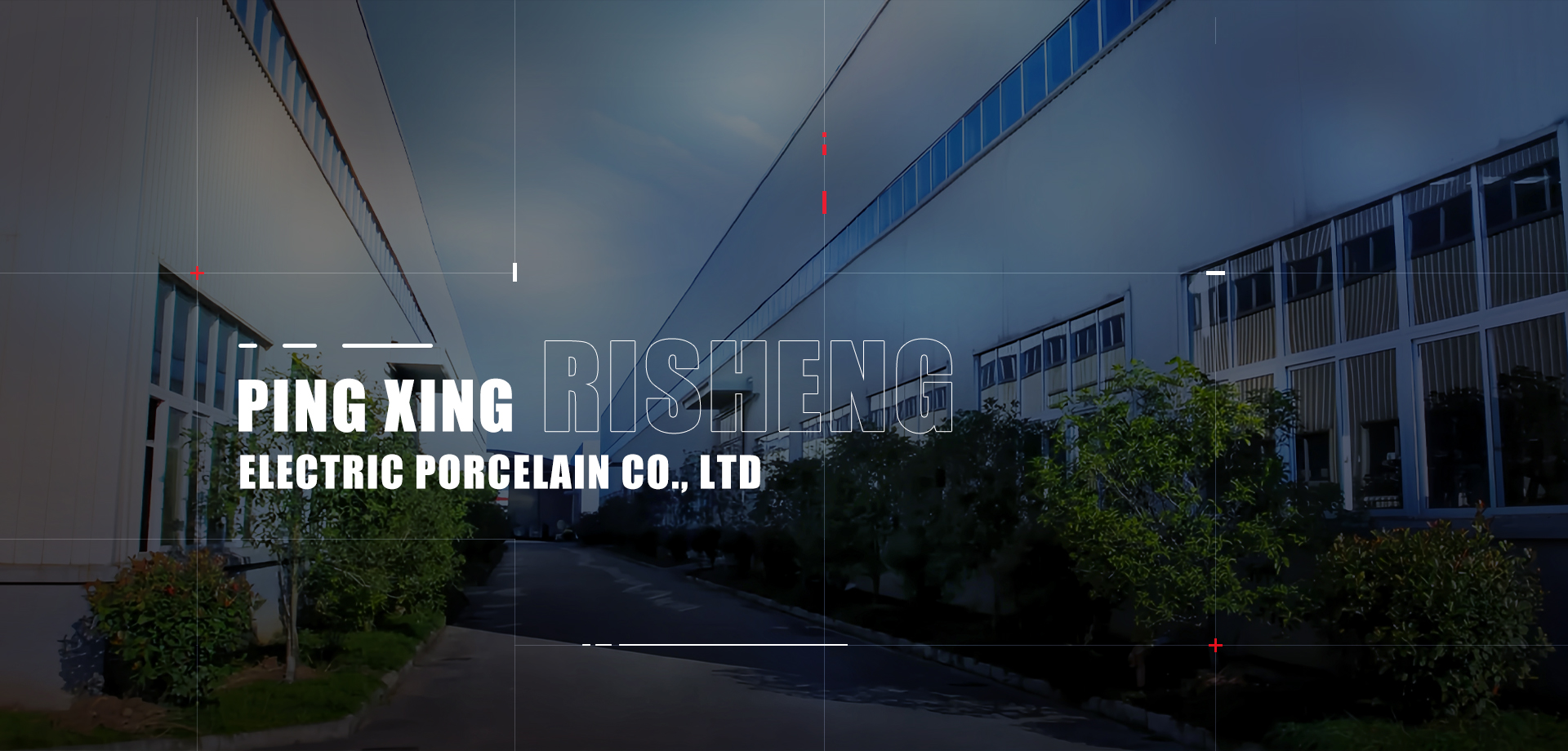 Company Profile