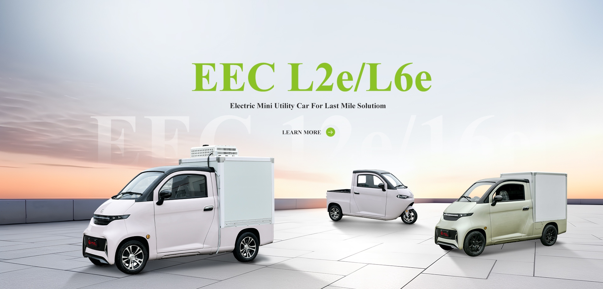 Electric Tricycle Car