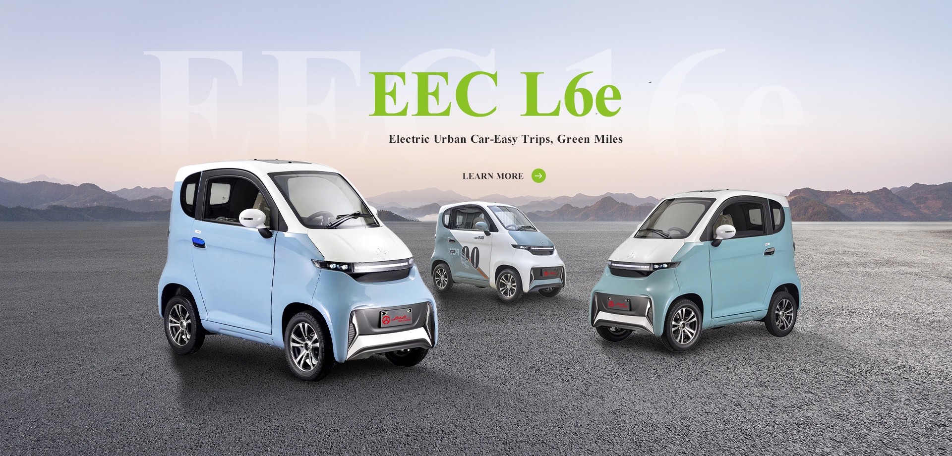 EEC L2e Electric Cargo Tricycle
