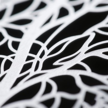 Custom Sheet Metal Cutting Services