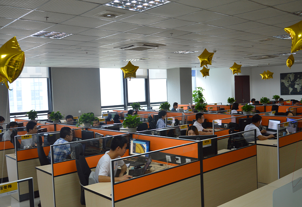 Company Size (12)