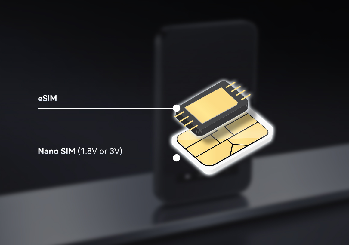 Dual SIM Flexibility