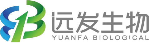 logo2vek