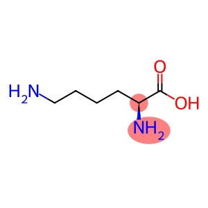 L-Lysine Base