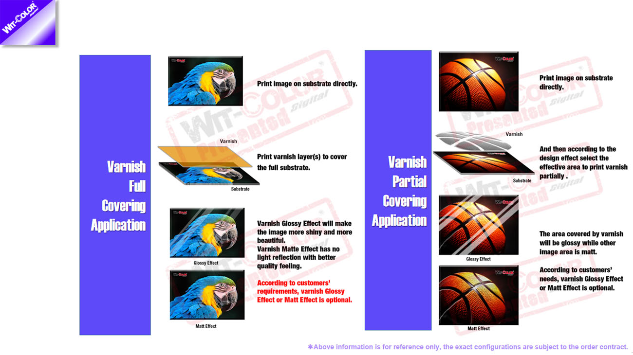 application5y4w