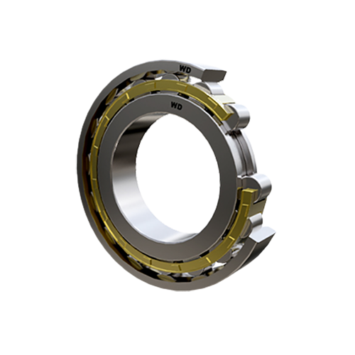 N-Single-Row-Cylindrical-Roller-Bearings-3D