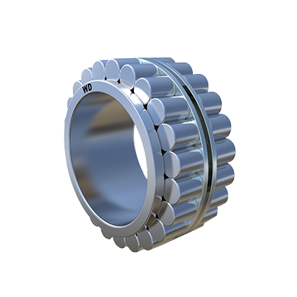 RNN Double Row Full Complement Cylindrical Roller Bearings