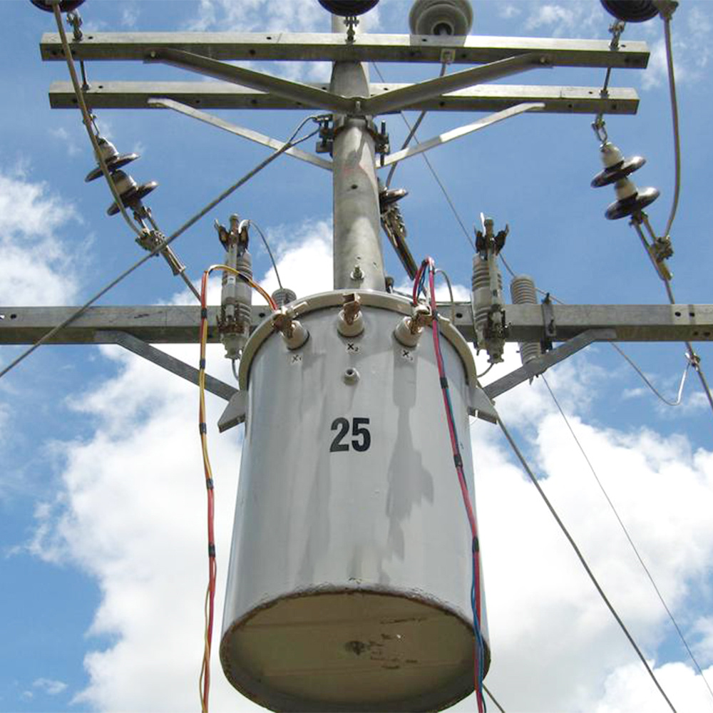 Trasformatore ad alta frequenza in rame immerso in olio, modello 10005