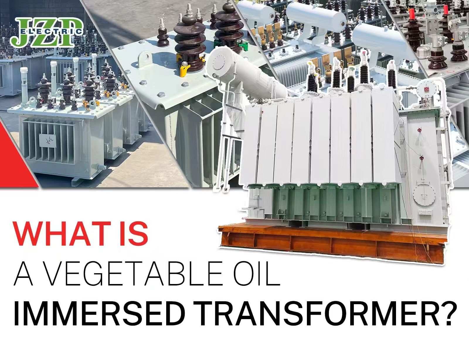 Che cos'è un trasformatore immerso in olio vegetale?