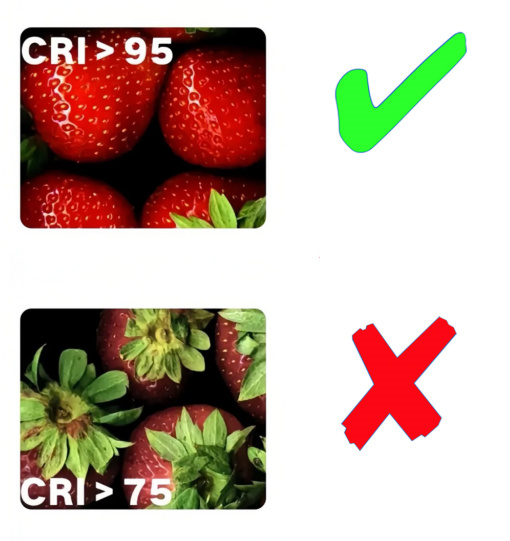 Cahya miyueb CRI >95.jpg