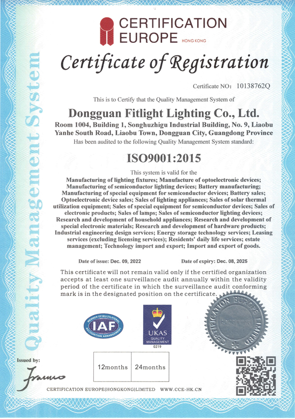 83---ISO9001-English-edition