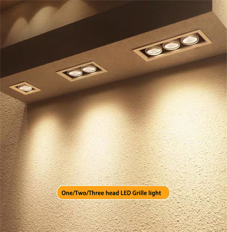 Doul head downlight