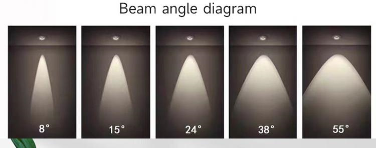 Beam spotlight