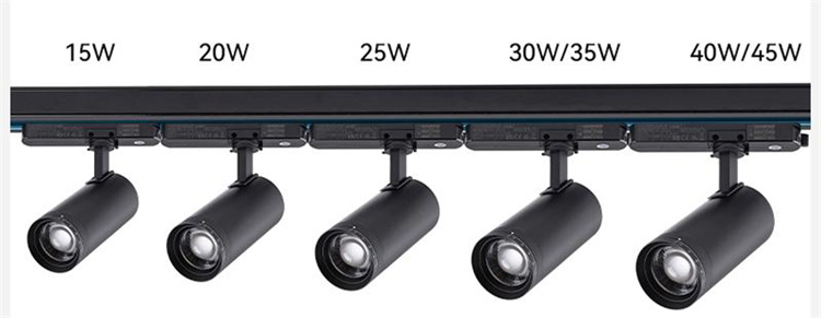 Concealed track light